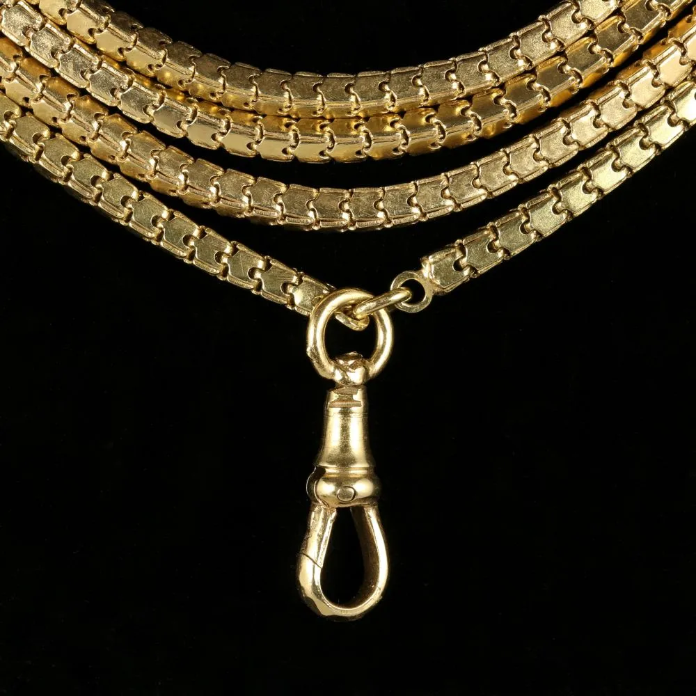 Antique Georgian Guard Chain Circa 1800