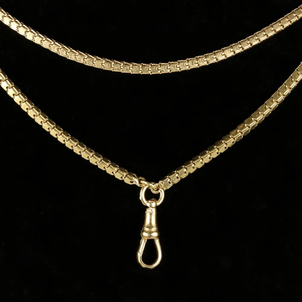 Antique Georgian Guard Chain Circa 1800
