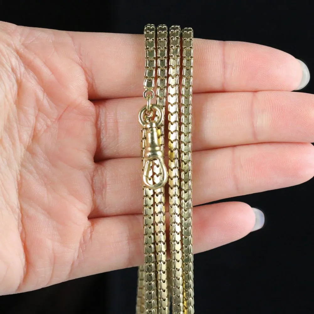 Antique Georgian Guard Chain Circa 1800