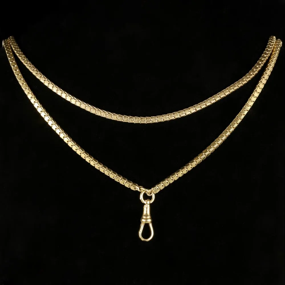 Antique Georgian Guard Chain Circa 1800