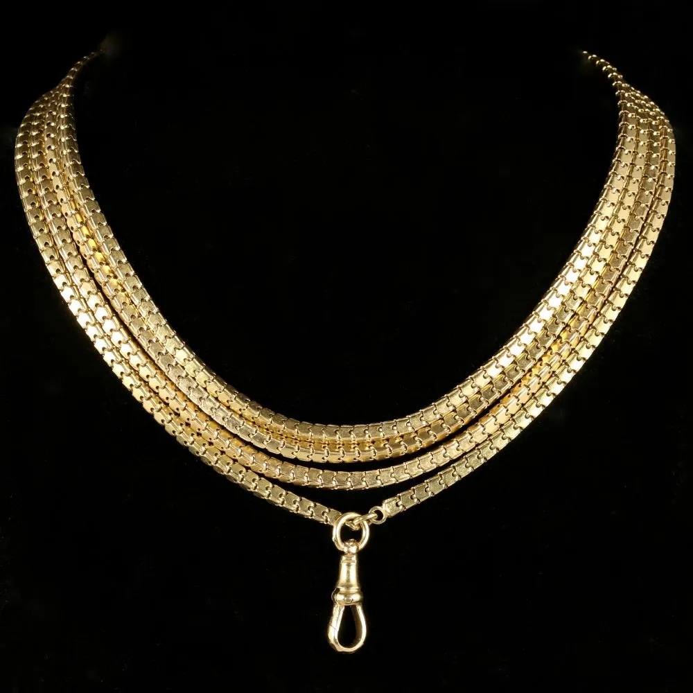 Antique Georgian Guard Chain Circa 1800