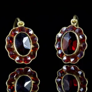Antique Victorian Garnet Earrings Garnet Gold Circa 1900