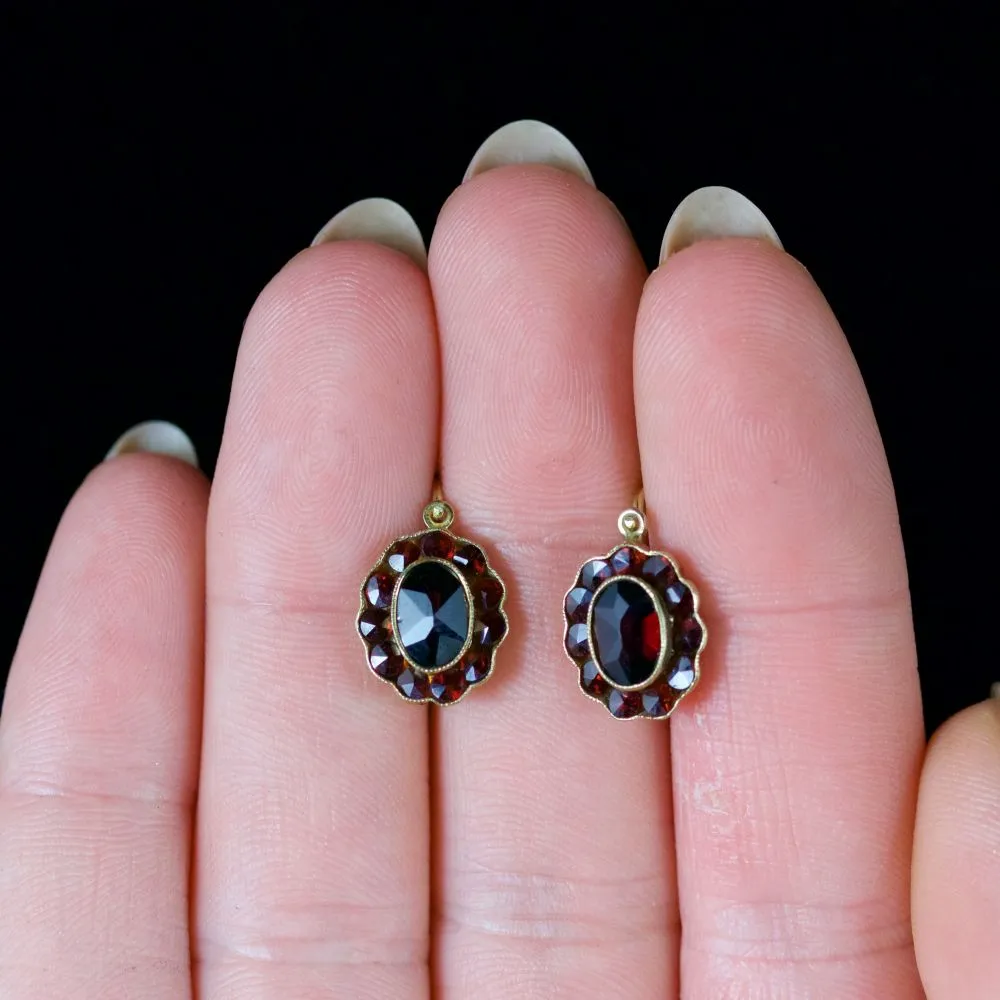 Antique Victorian Garnet Earrings Garnet Gold Circa 1900