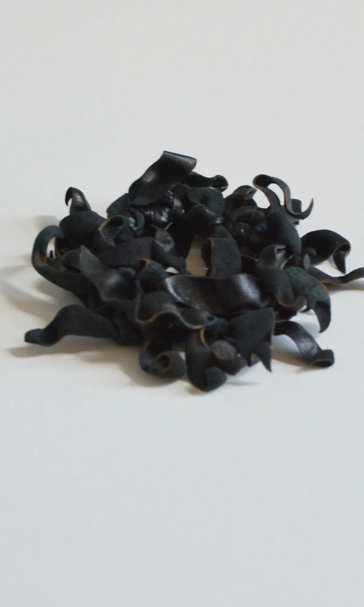 Curled Leather Bracelet