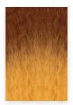 JANET COLLECTION  - REMY ILLUSION GARNET PONYTAIL  25″