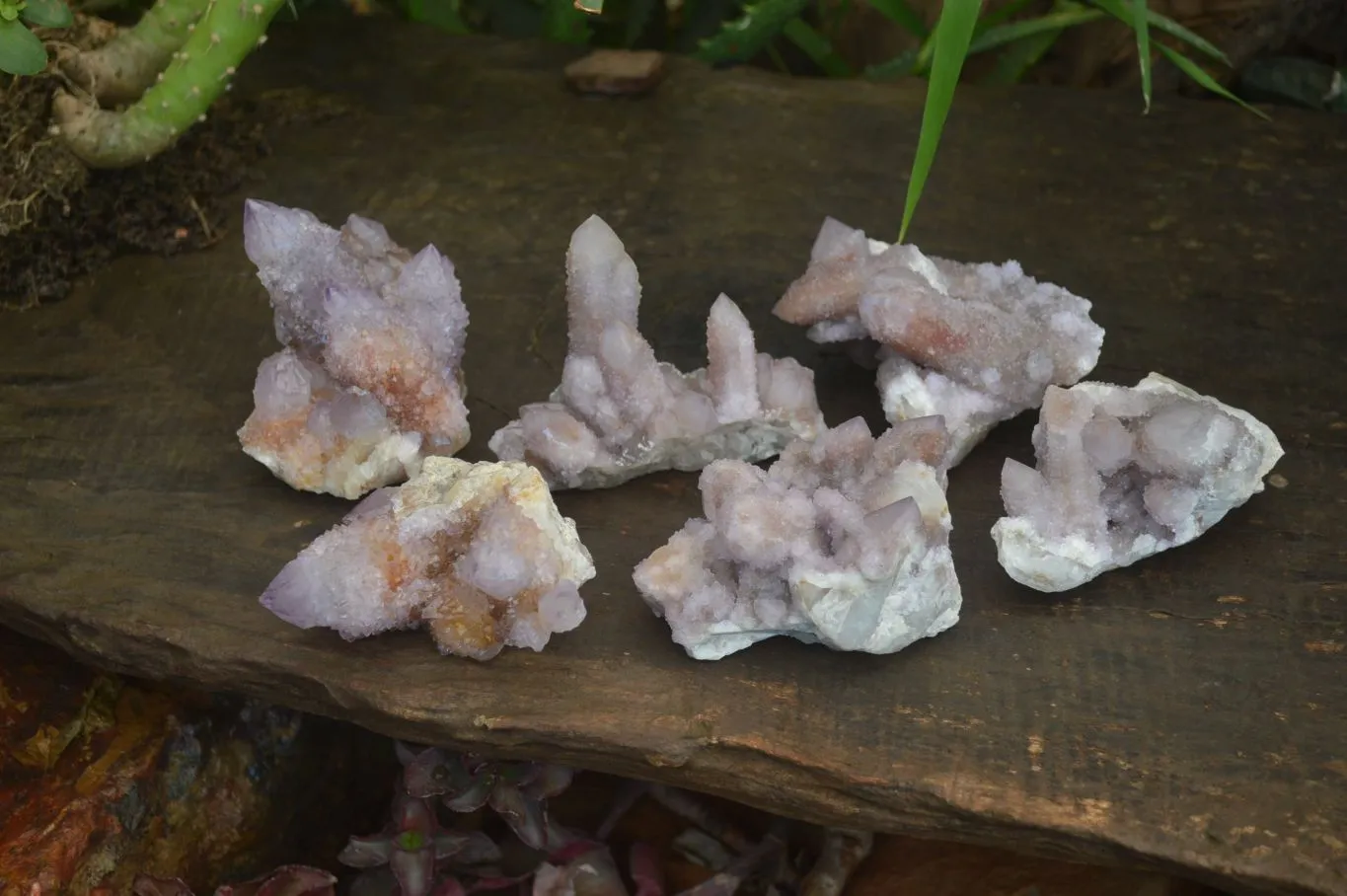 Natural Amethyst / Ametrine Spirit Quartz Clusters x 6 From Boekenhouthoek, South Africa