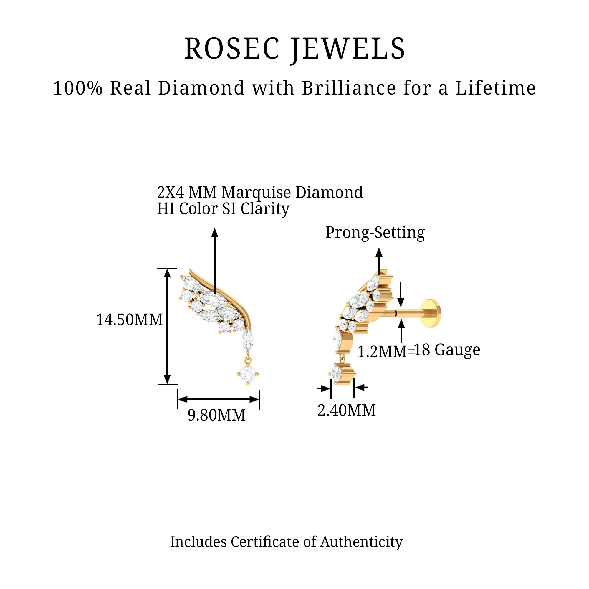 Natural Diamond Wing Helix Drop Earring with Flat Back