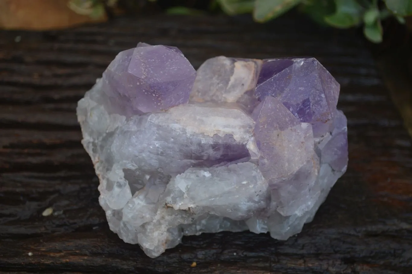 Natural Mixed Selection Of Quartz Specimens x 4 From Southern Africa