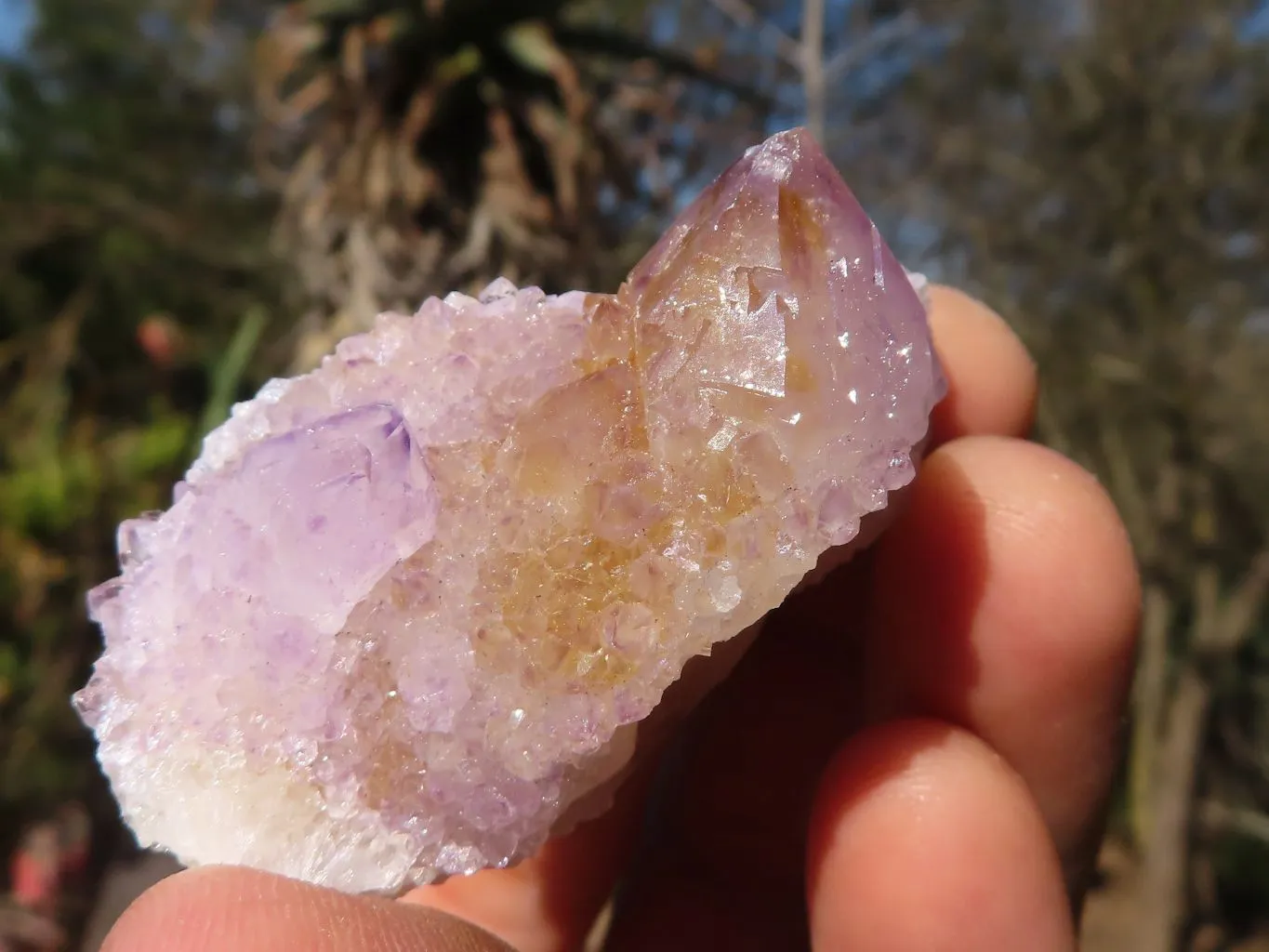 Natural Pale Lilac Spirit Amethyst Quartz Crystals x 20 From Boekenhouthoek, South Africa