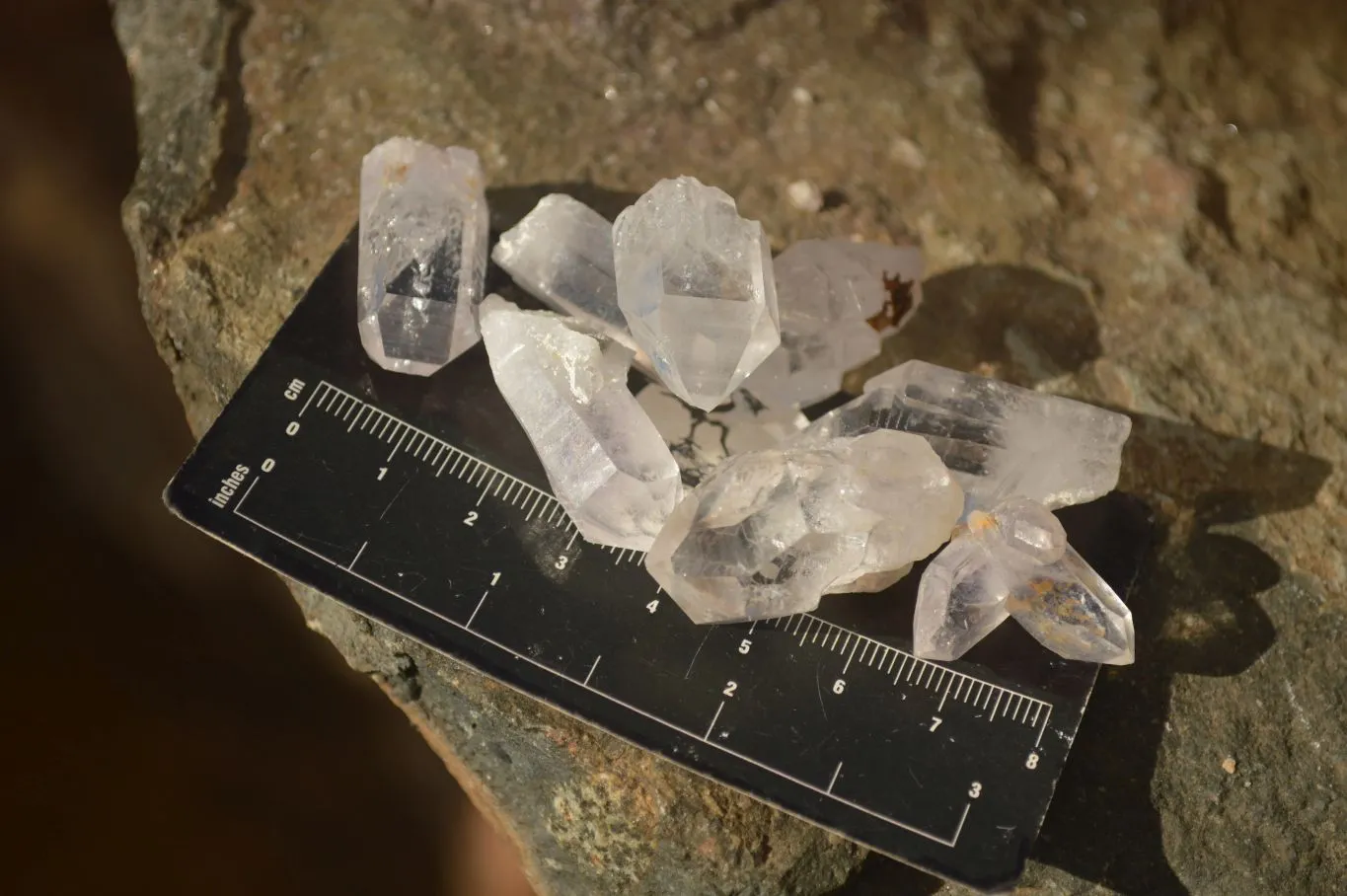 Natural Small Semi Optic Clear Brandberg Quartz Crystals x 70 From Brandberg, Namibia