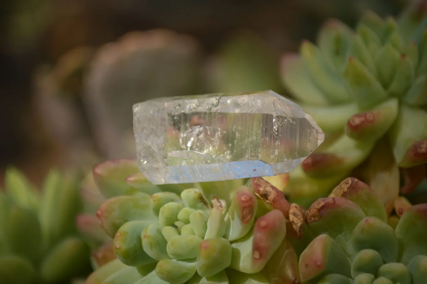 Natural Small Semi Optic Clear Brandberg Quartz Crystals x 70 From Brandberg, Namibia