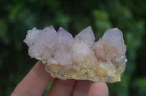Natural Small Spirit Amethyst Quartz Specimens x 12 From Boekenhouthoek, South Africa