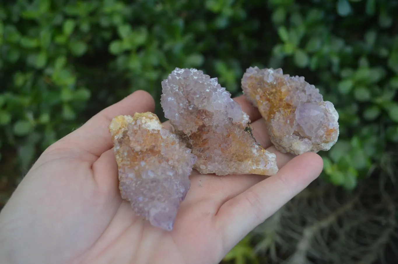 Natural Small Spirit Amethyst Quartz Specimens x 12 From Boekenhouthoek, South Africa