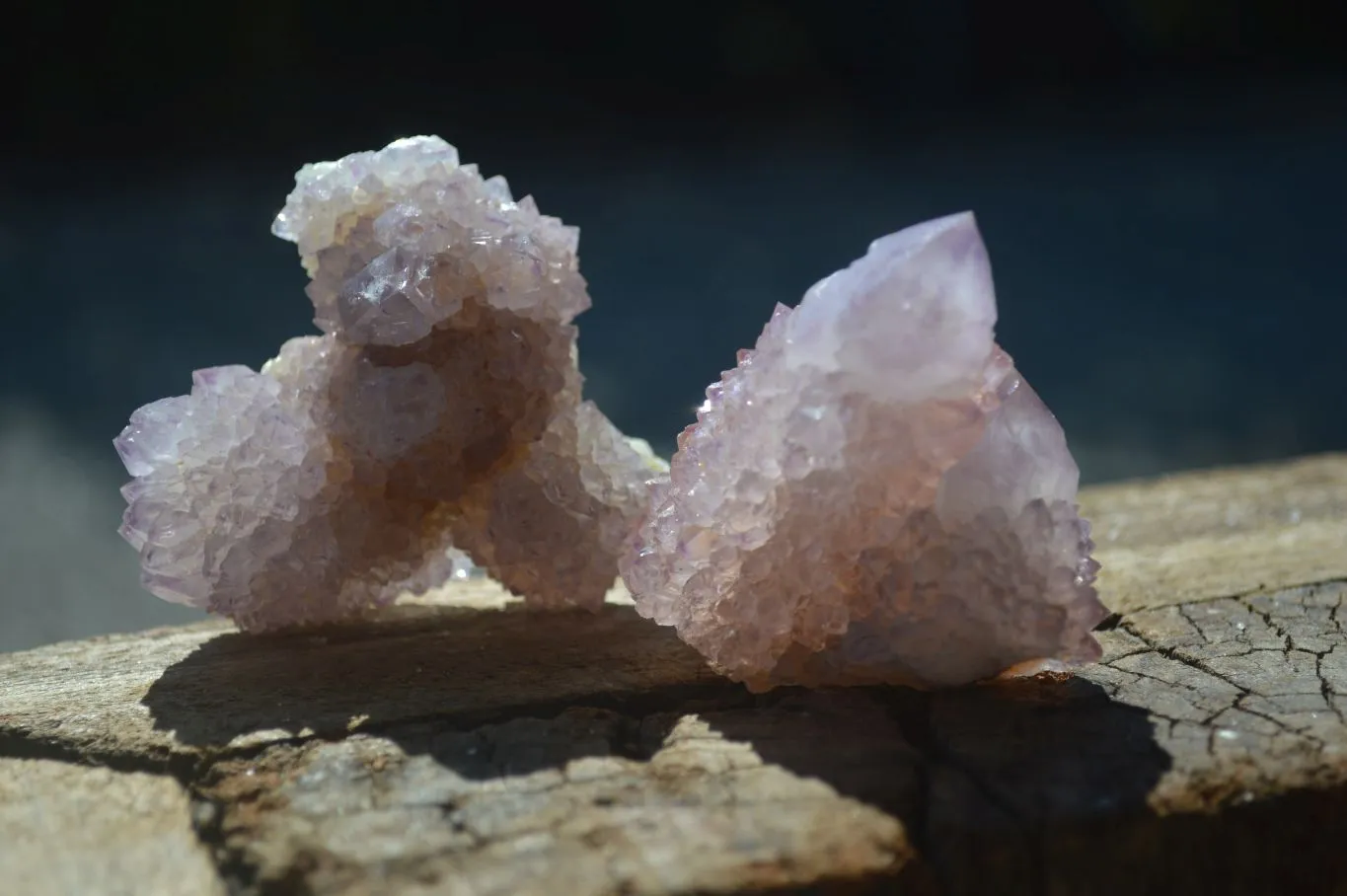 Natural Small Spirit Amethyst Quartz Specimens x 12 From Boekenhouthoek, South Africa