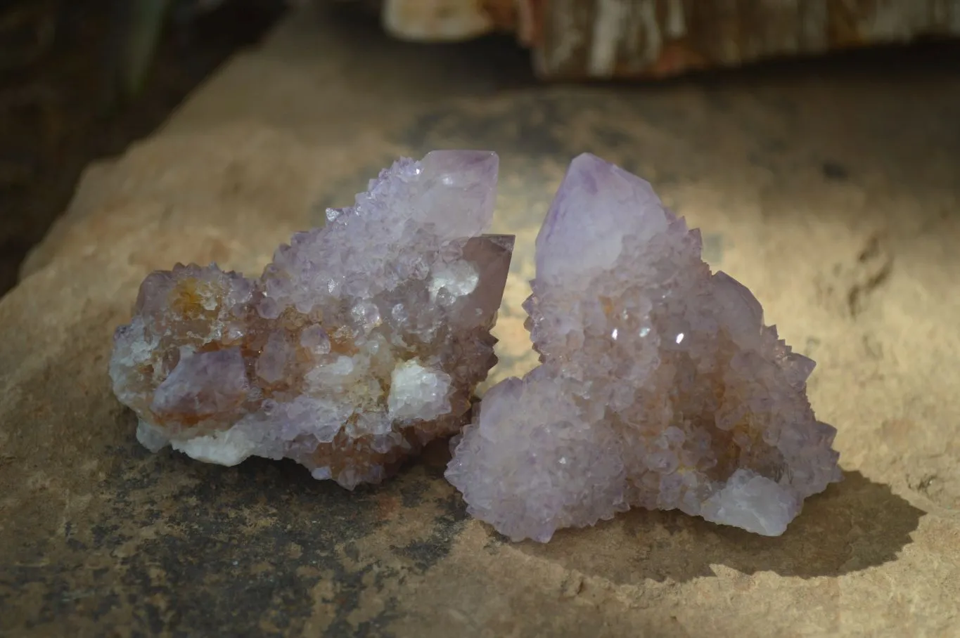 Natural Small Spirit Amethyst Quartz Specimens x 12 From Boekenhouthoek, South Africa