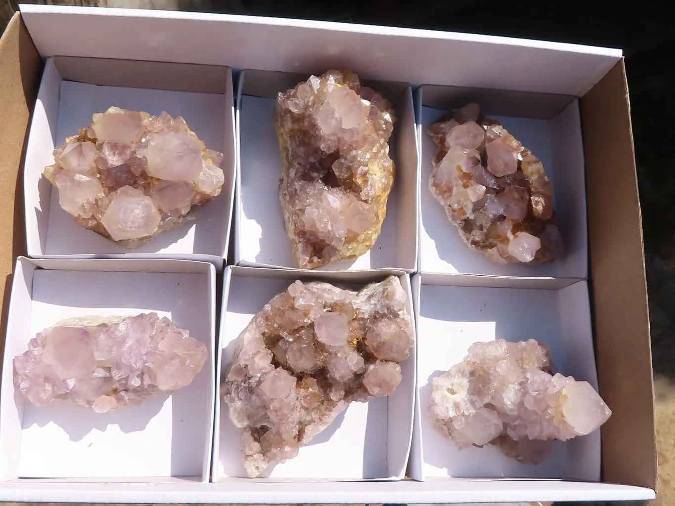 Natural Spirit Amethyst Cactus Quartz Clusters x 6 From Boekenhouthoek, South Africa