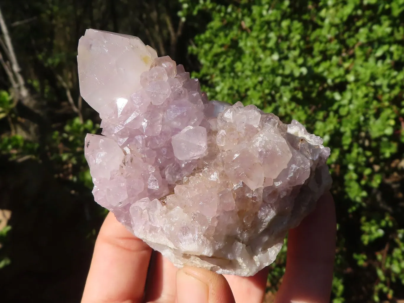 Natural Spirit Amethyst Cactus Quartz Clusters x 6 From Boekenhouthoek, South Africa