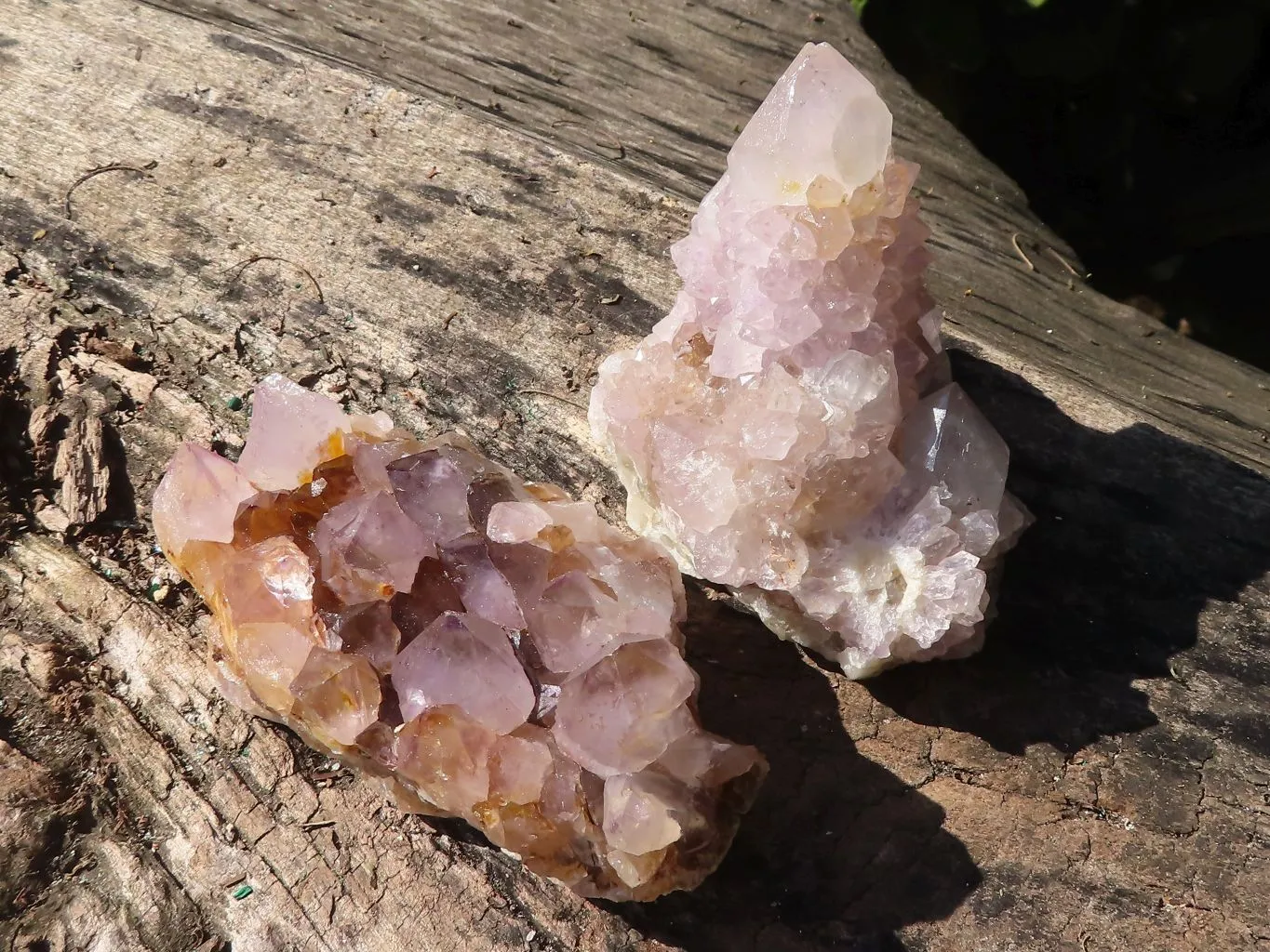 Natural Spirit Amethyst Cactus Quartz Clusters x 6 From Boekenhouthoek, South Africa