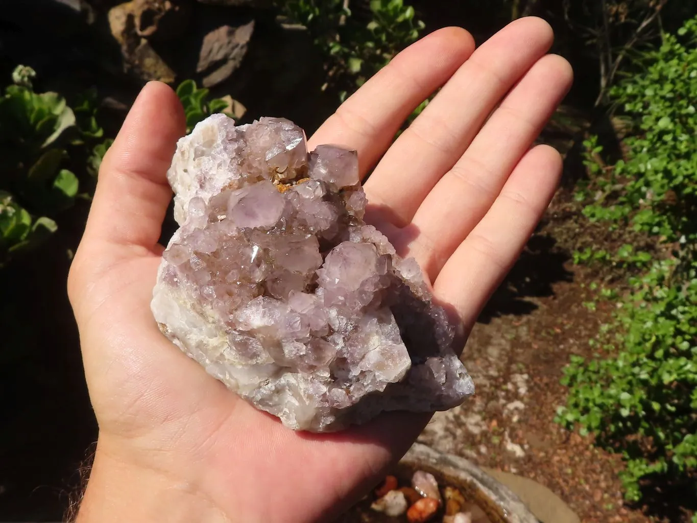 Natural Spirit Amethyst Cactus Quartz Clusters x 6 From Boekenhouthoek, South Africa