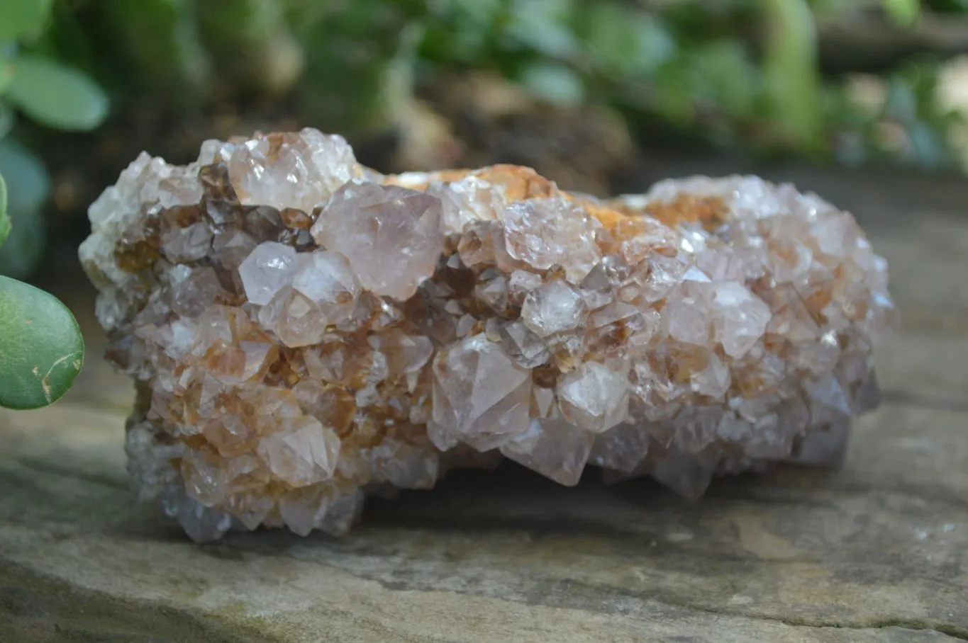 Natural Spirit Amethyst Quartz Clusters x 3 From Boekenhouthoek, South Africa