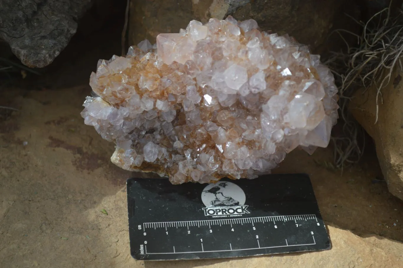 Natural Spirit Amethyst Quartz Clusters x 3 From Boekenhouthoek, South Africa
