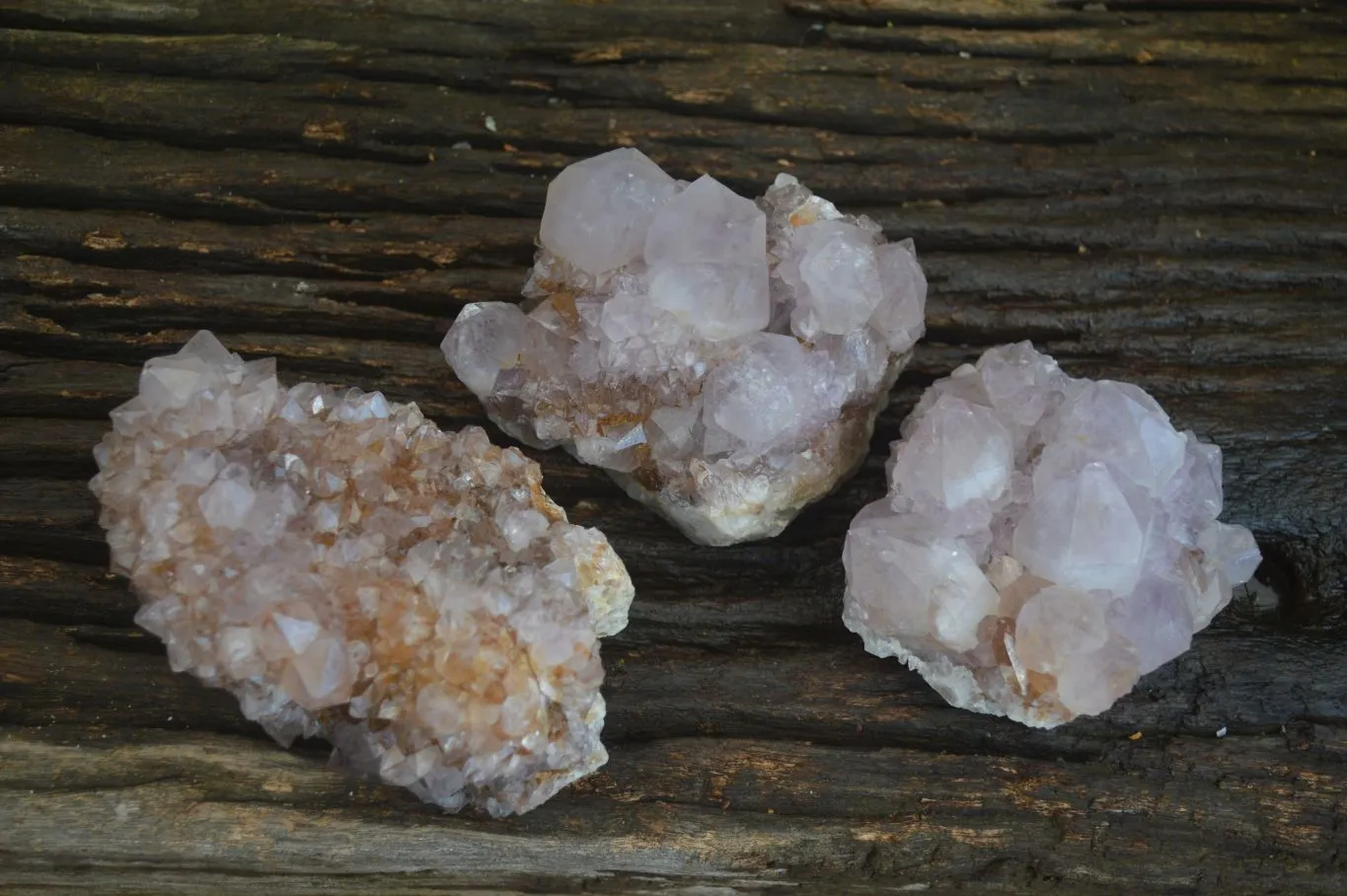 Natural Spirit Amethyst Quartz Clusters x 3 From Boekenhouthoek, South Africa