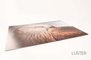 Quartz Film Laminate, Luster 4 mil - 34"x50'