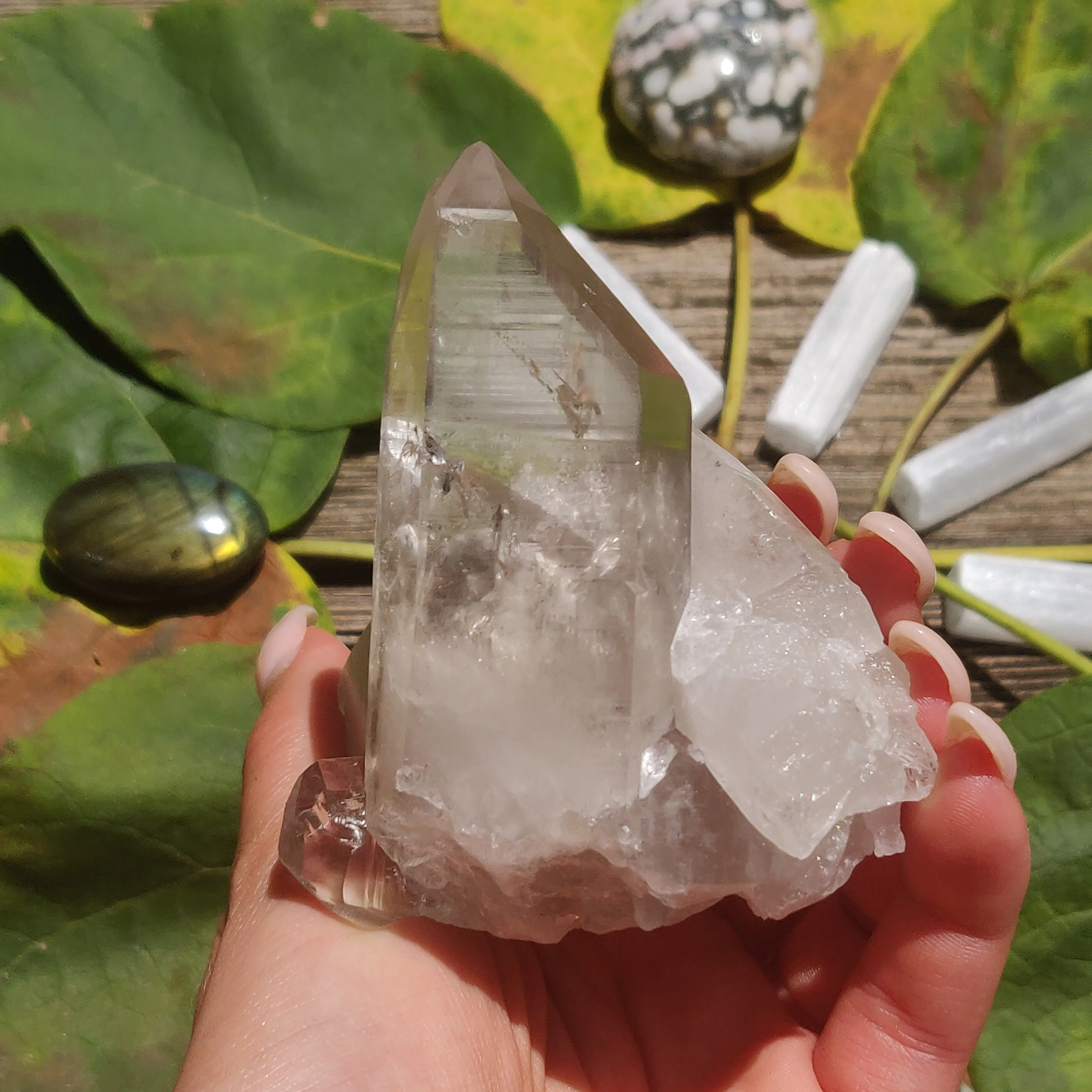 Smoky Lemurian Quartz Point (#7)
