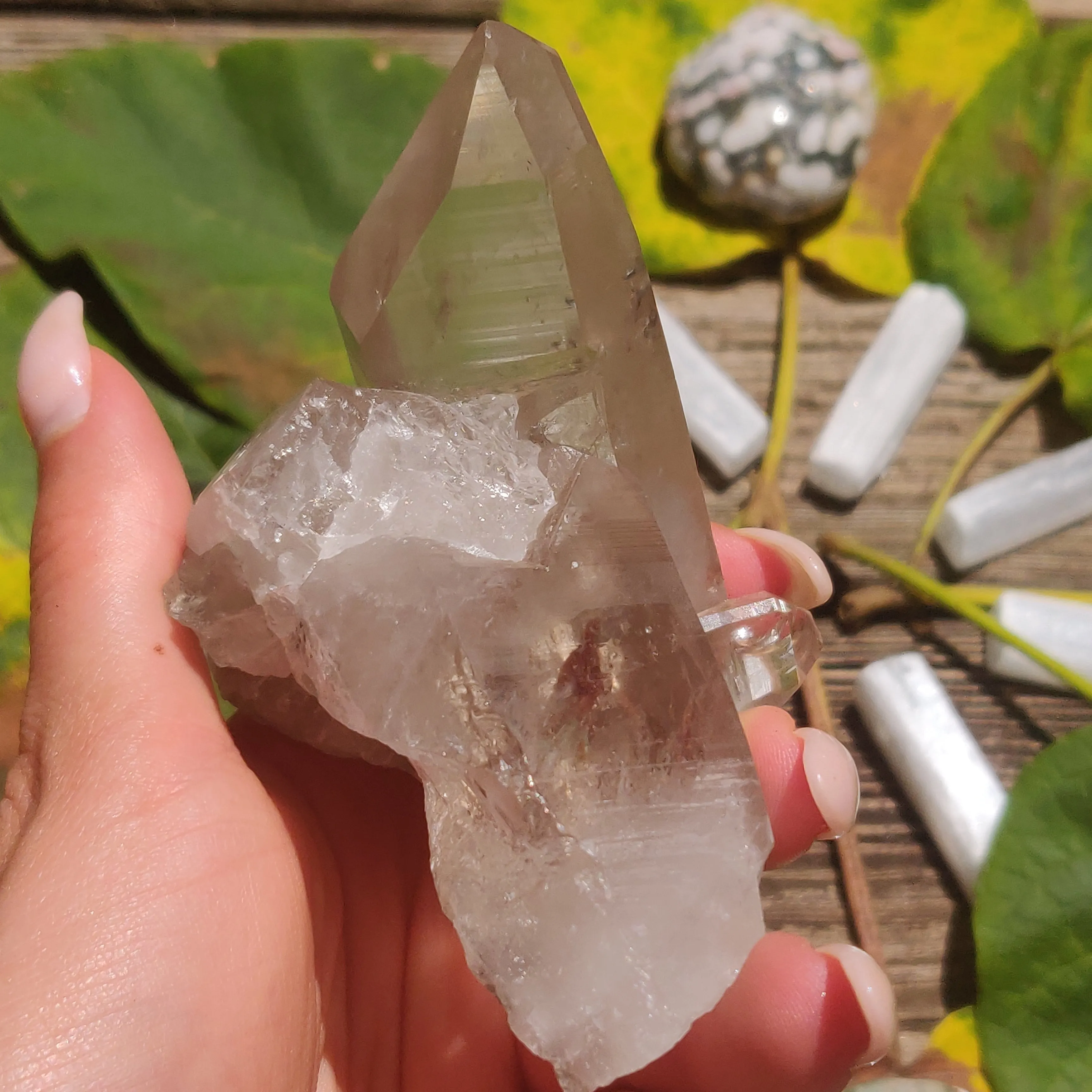 Smoky Lemurian Quartz Point (#7)