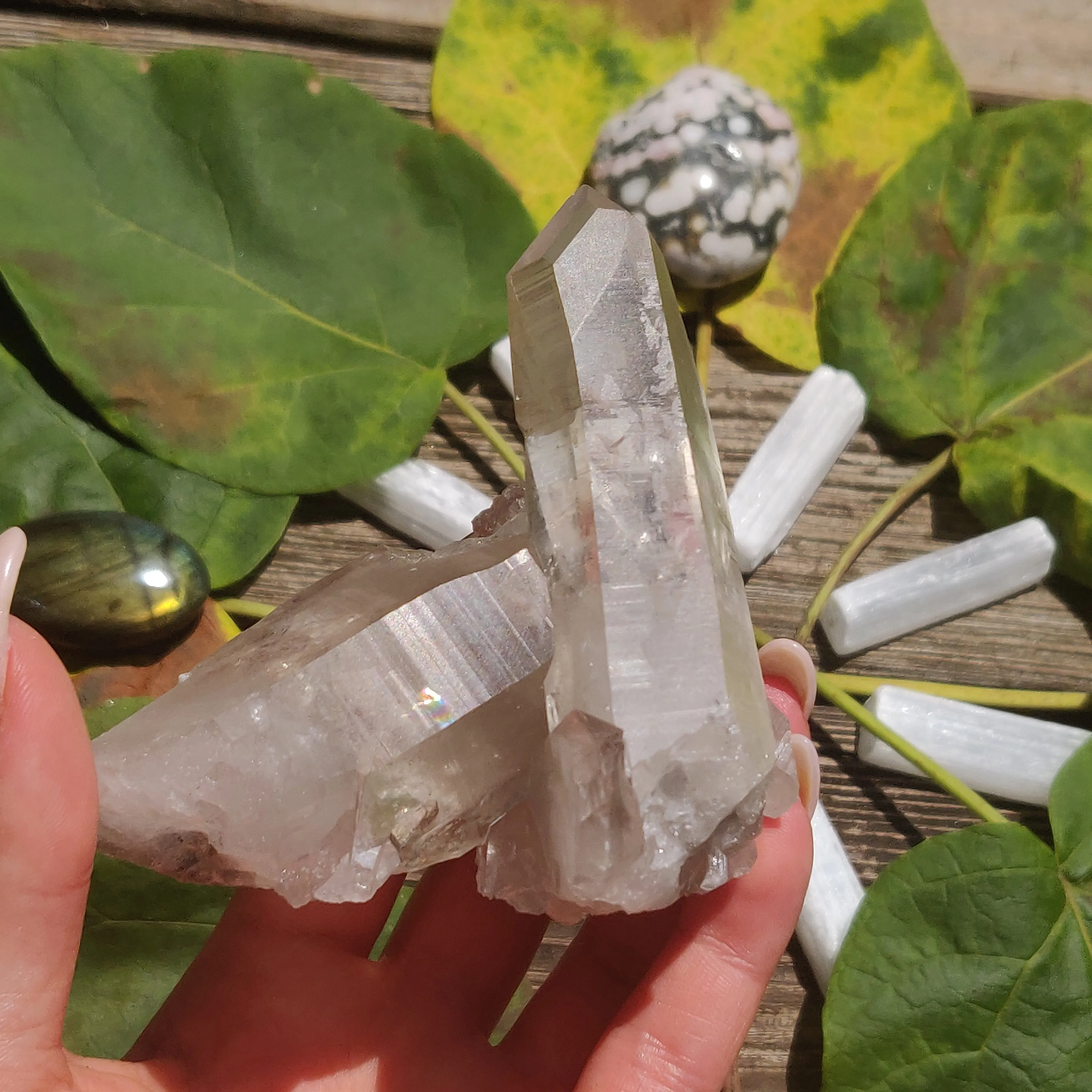 Smoky Lemurian Quartz Point (#7)
