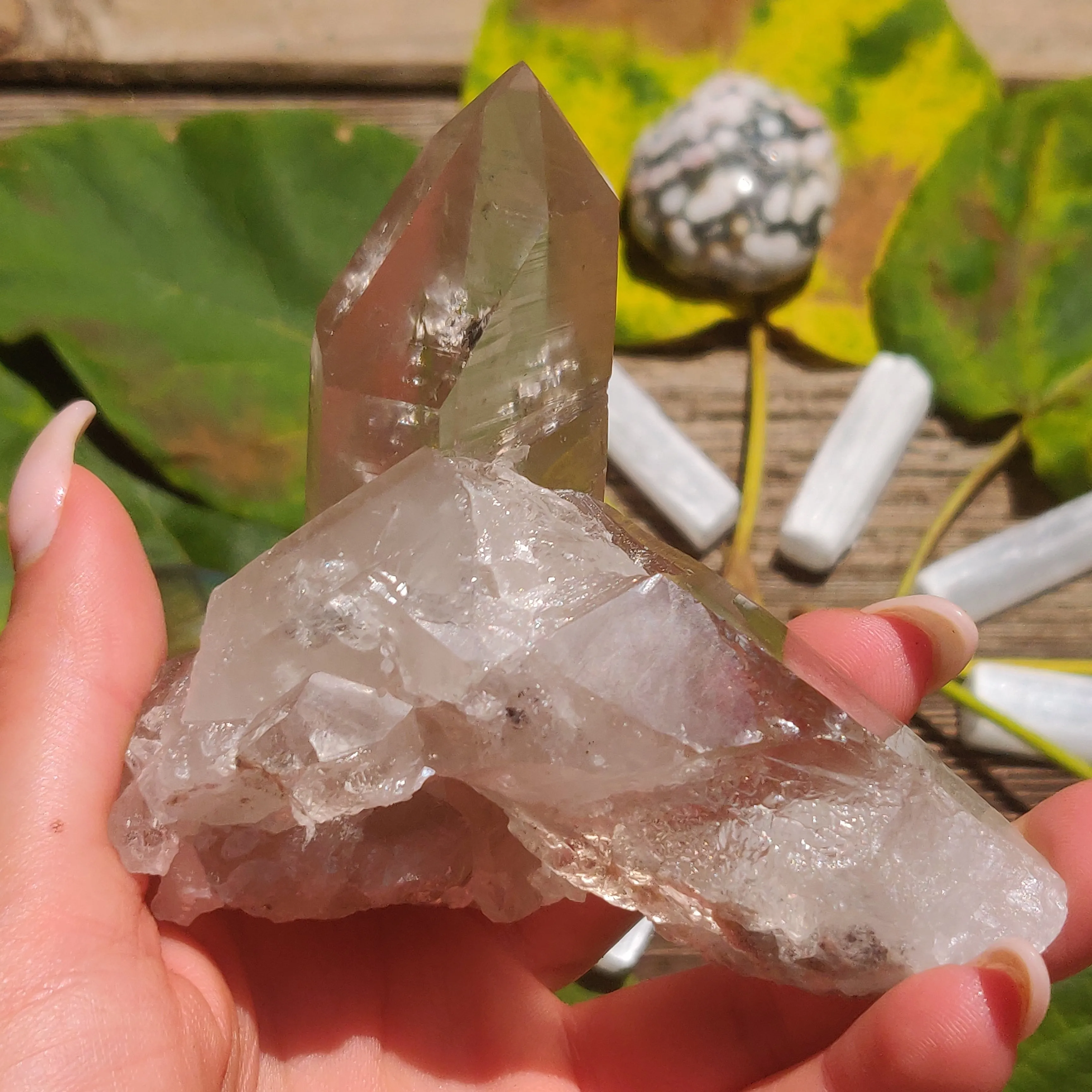 Smoky Lemurian Quartz Point (#7)