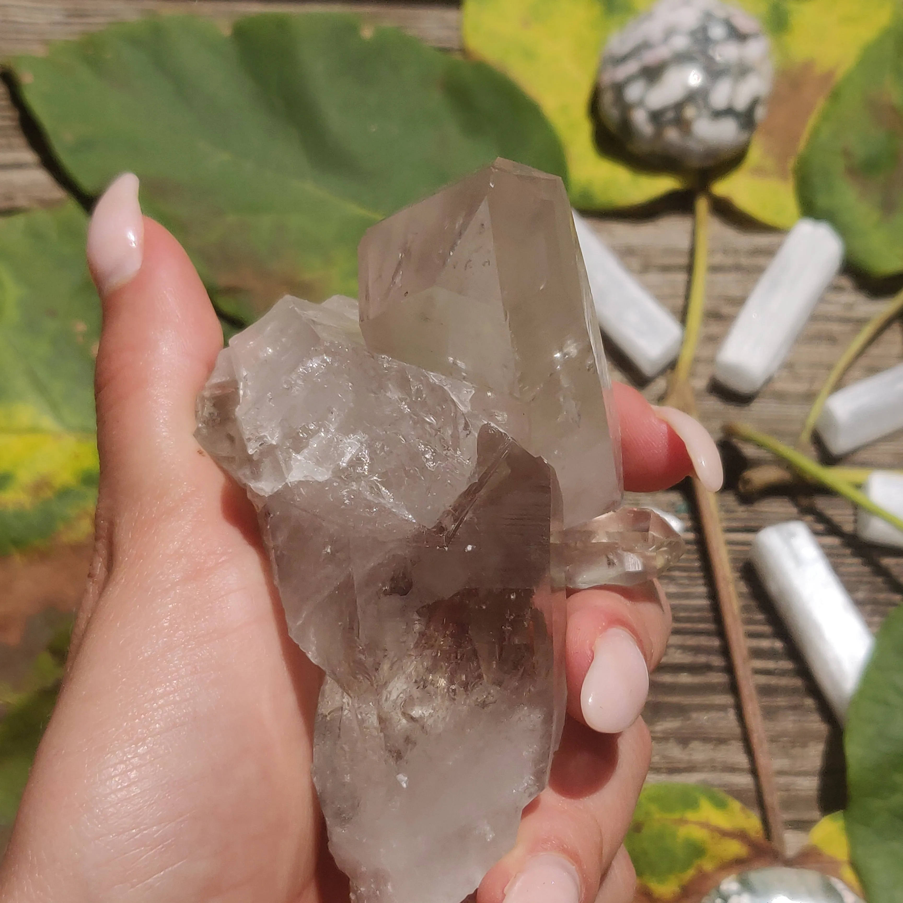 Smoky Lemurian Quartz Point (#7)