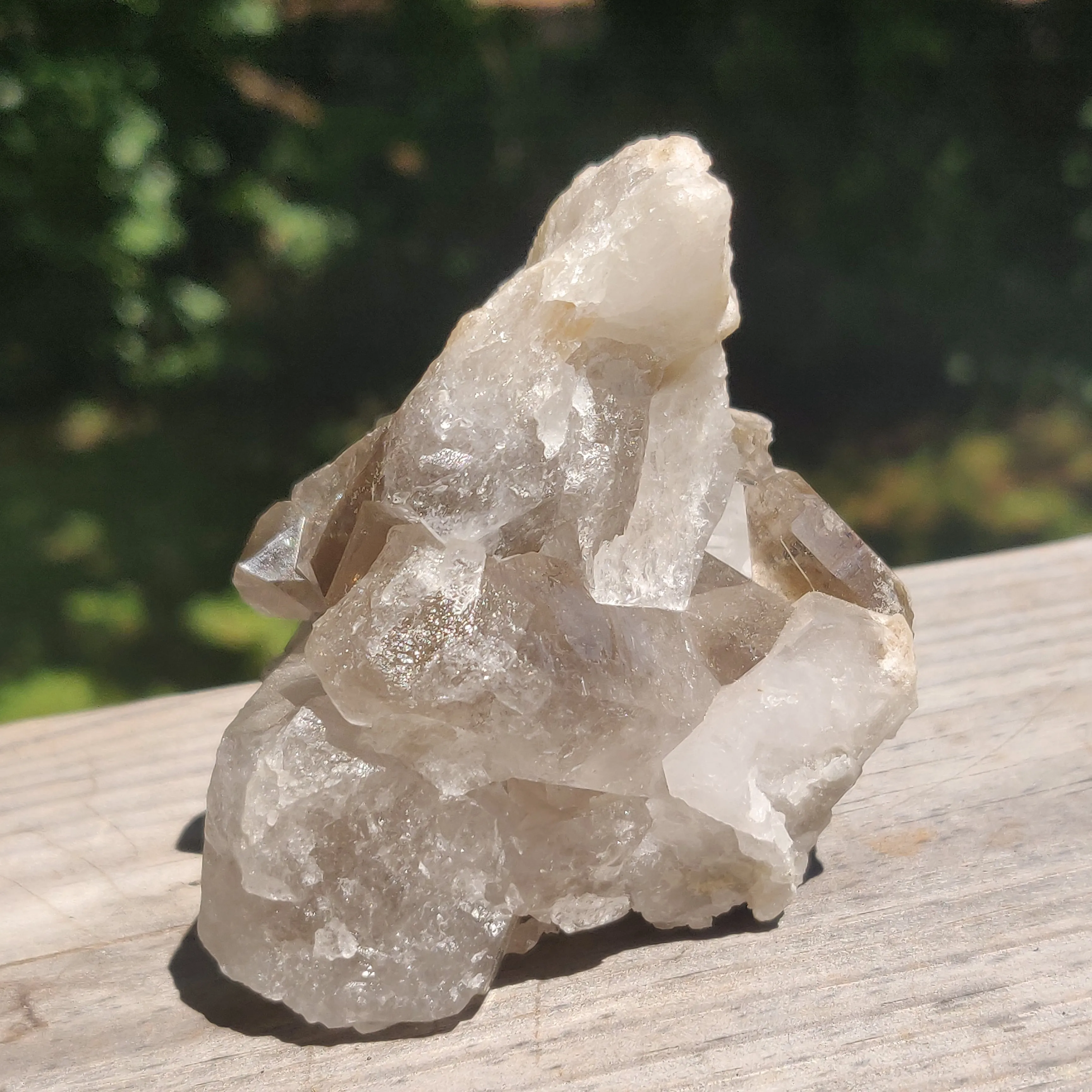 Smoky Quartz Cluster (#4)