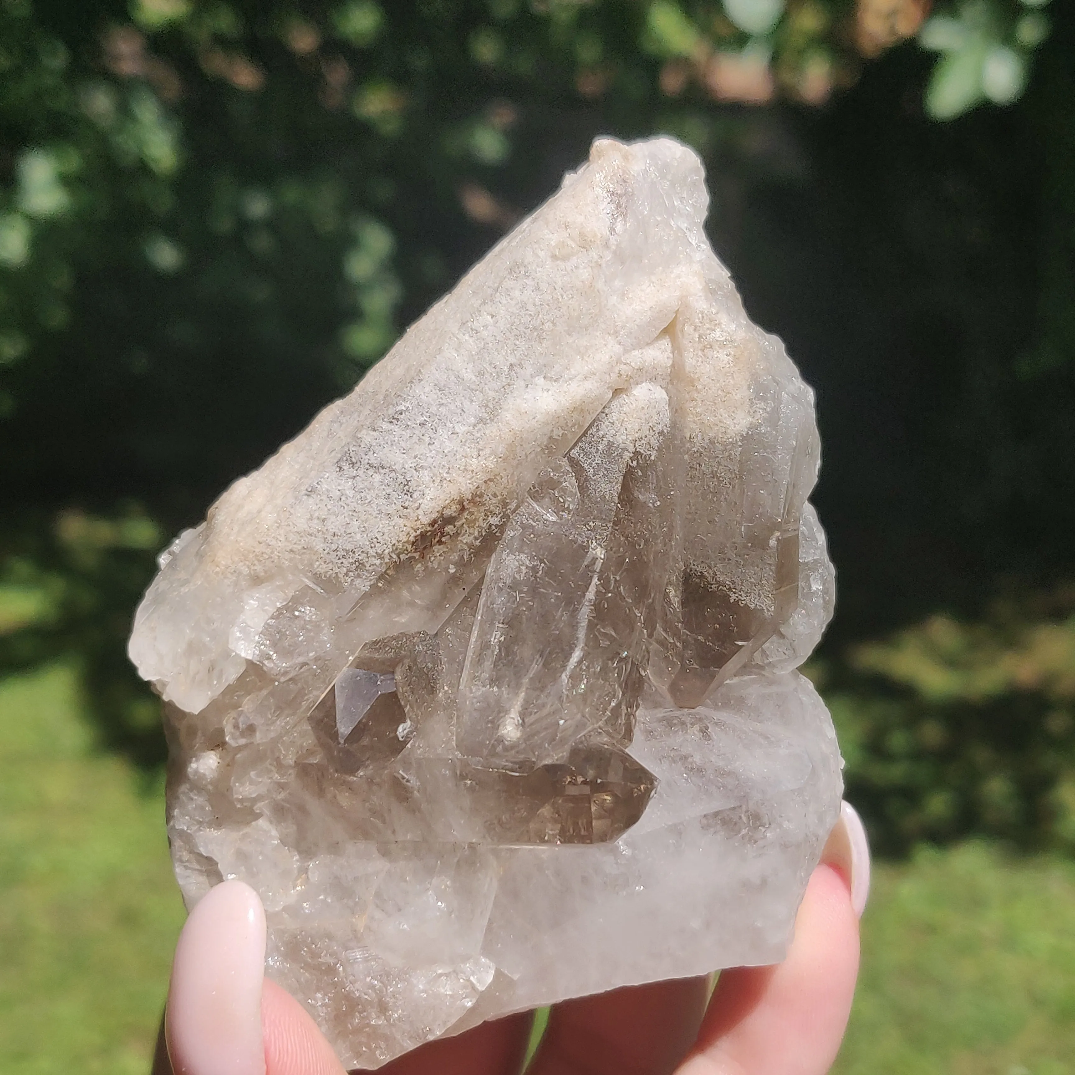 Smoky Quartz Cluster (#4)