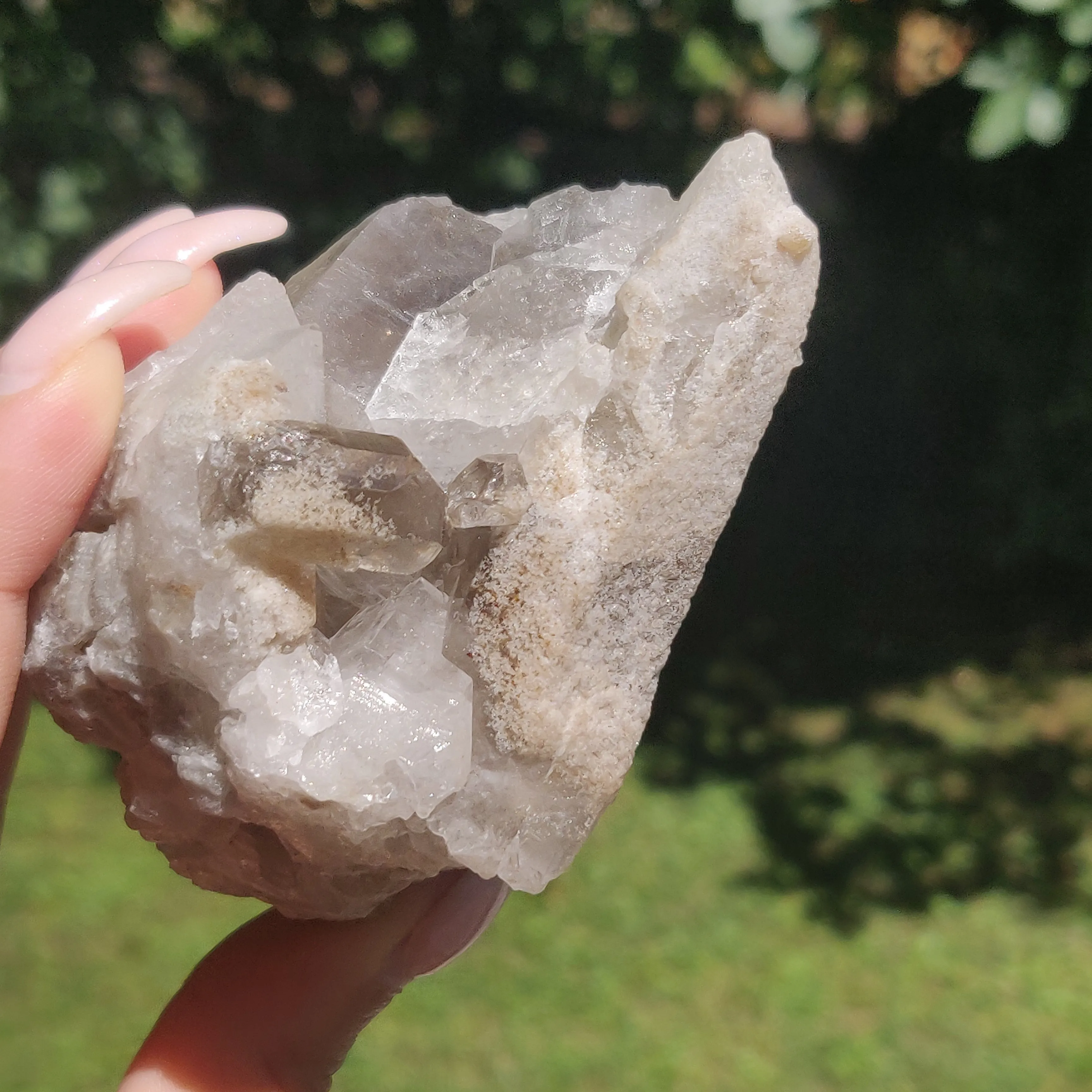 Smoky Quartz Cluster (#4)