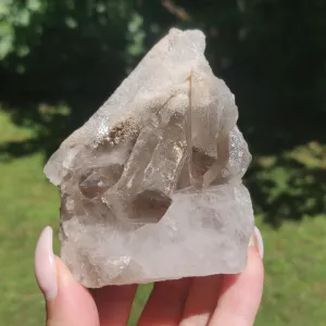 Smoky Quartz Cluster (#4)