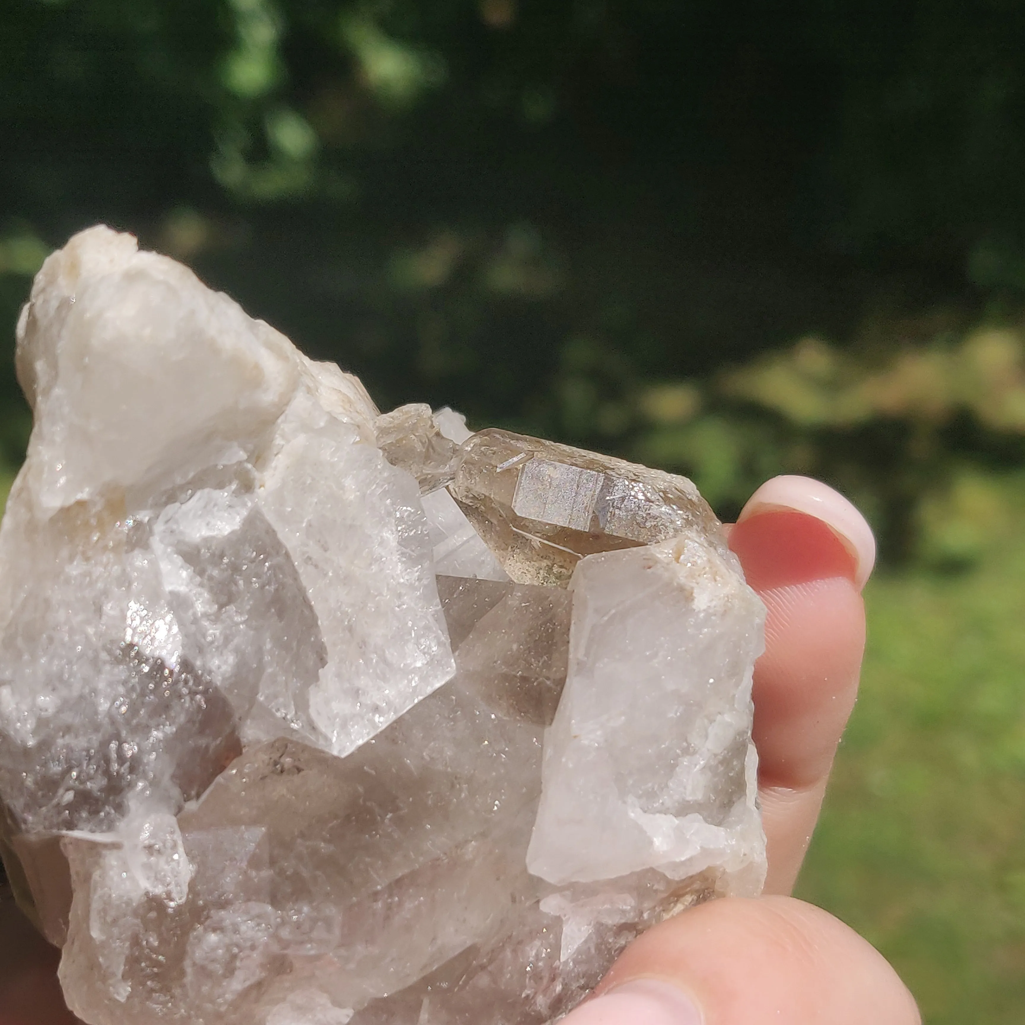 Smoky Quartz Cluster (#4)