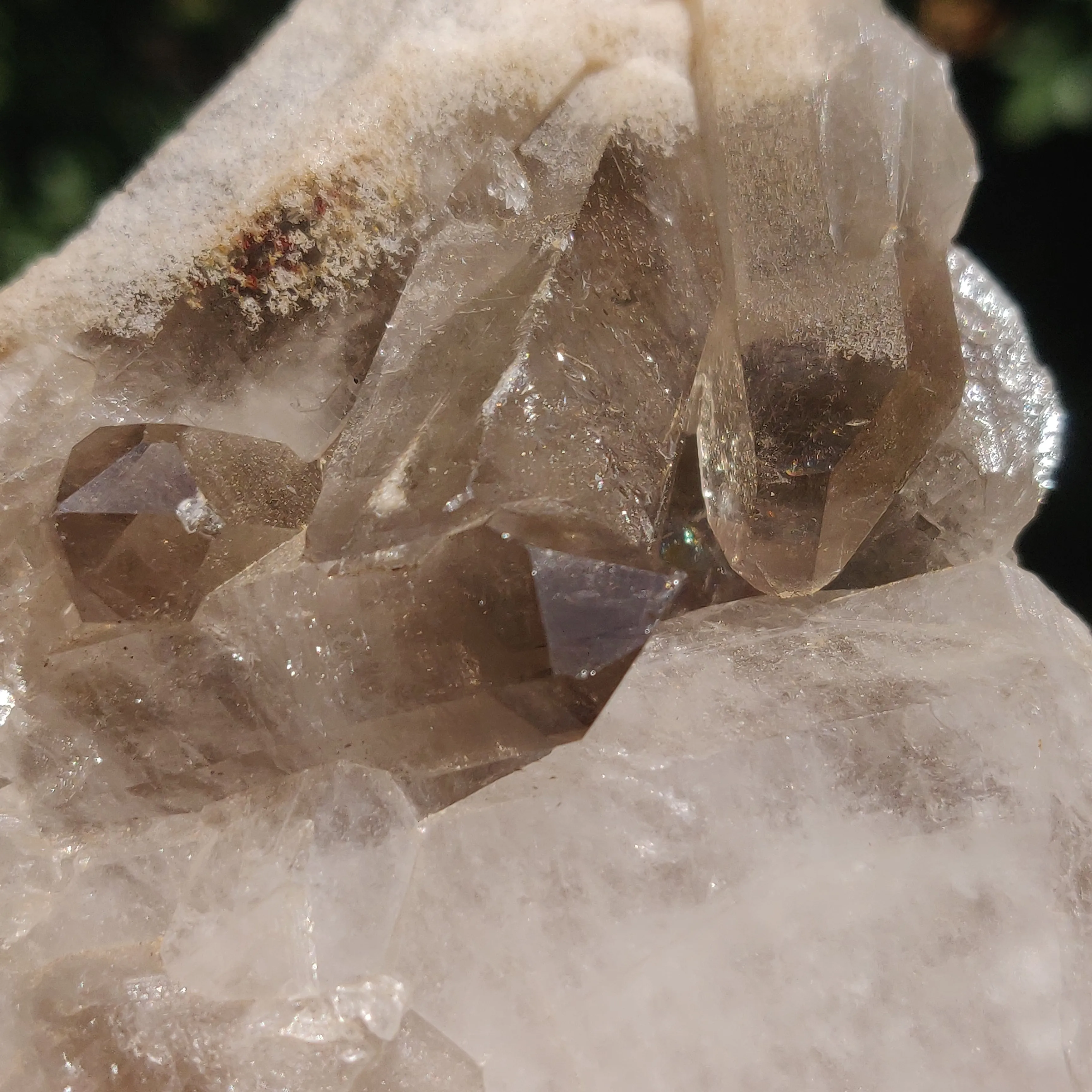 Smoky Quartz Cluster (#4)