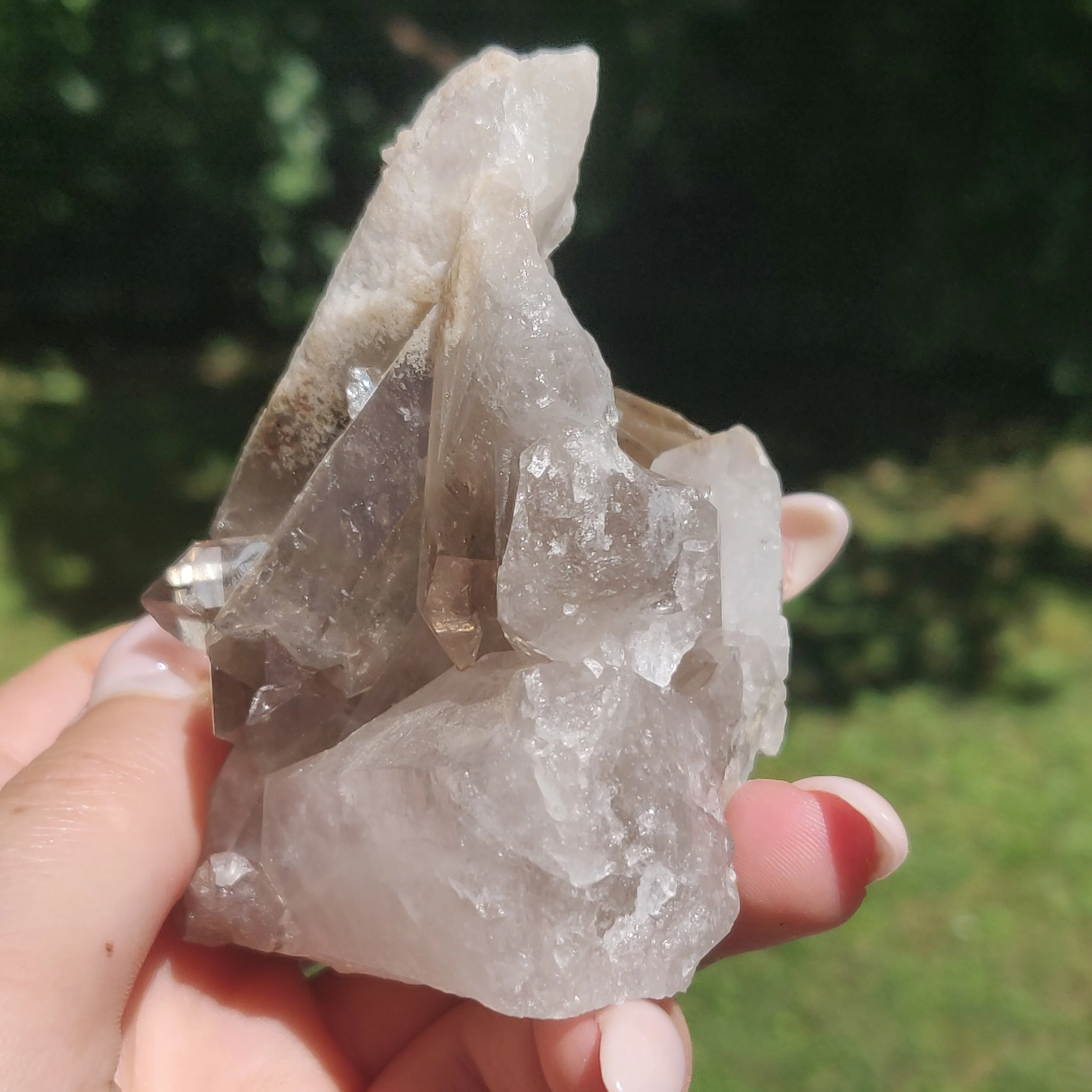 Smoky Quartz Cluster (#4)