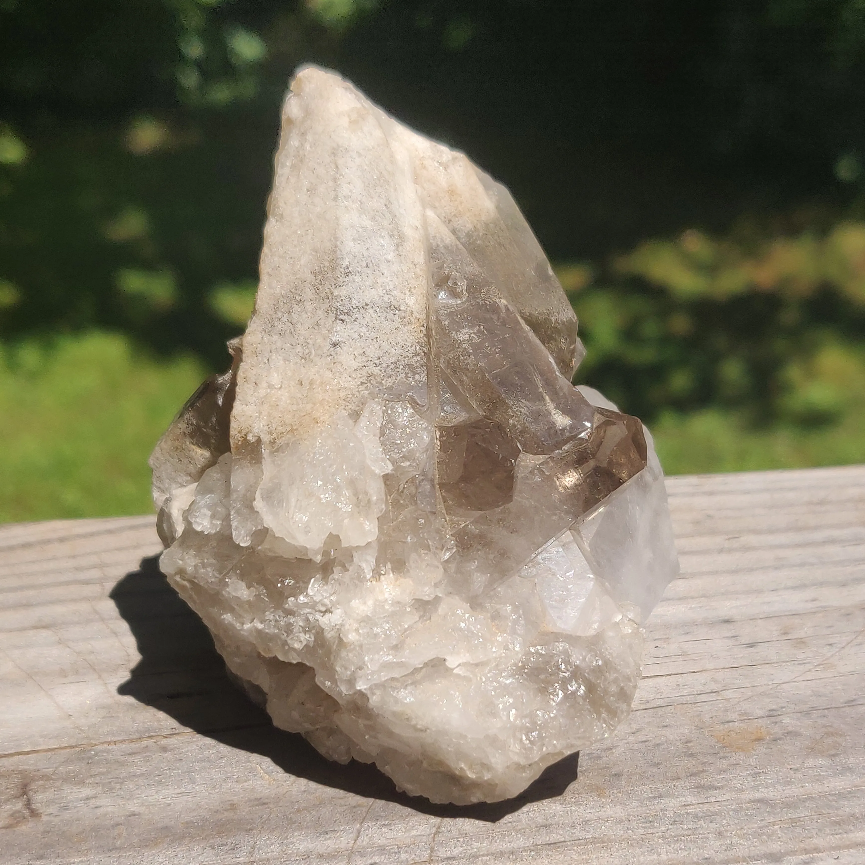 Smoky Quartz Cluster (#4)