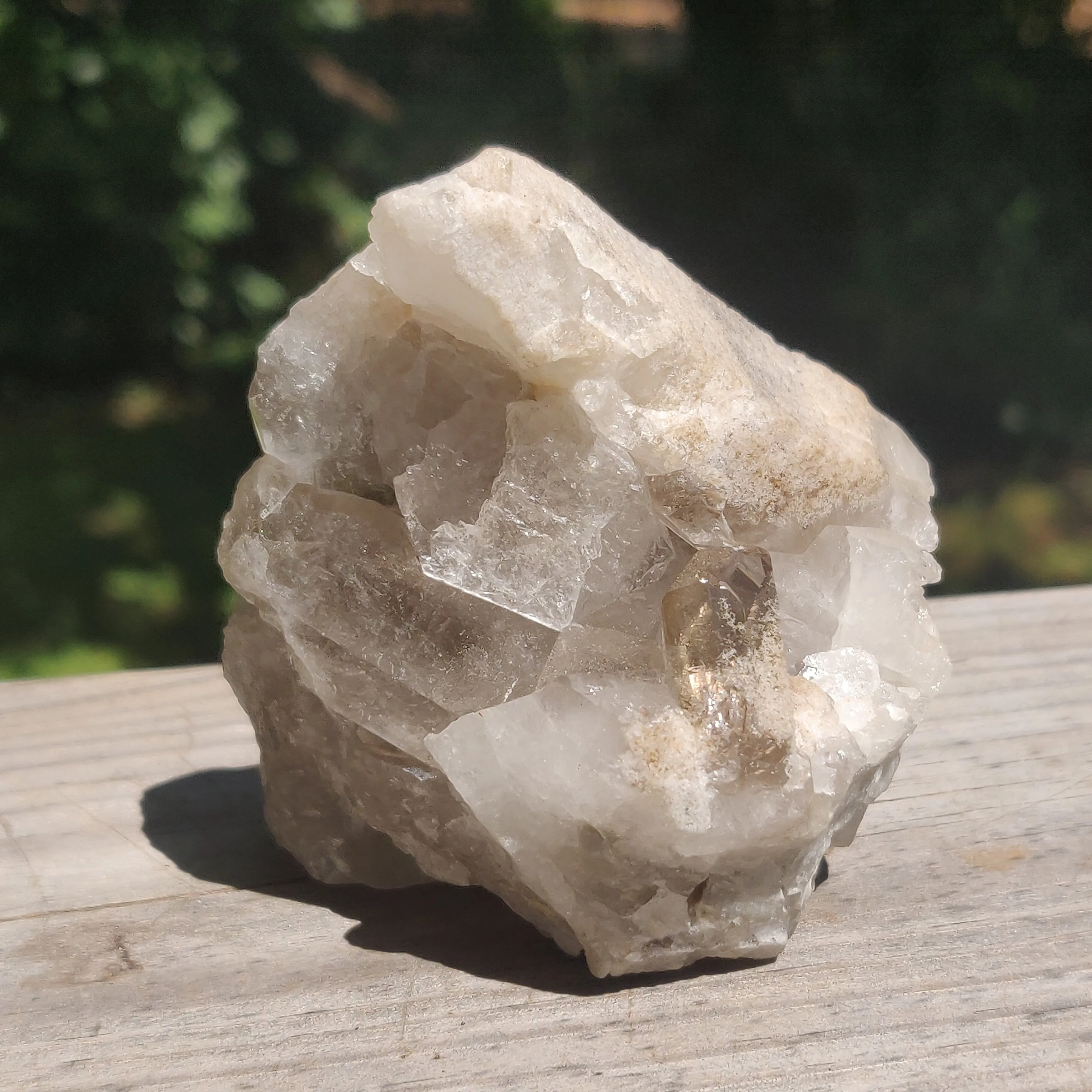 Smoky Quartz Cluster (#4)