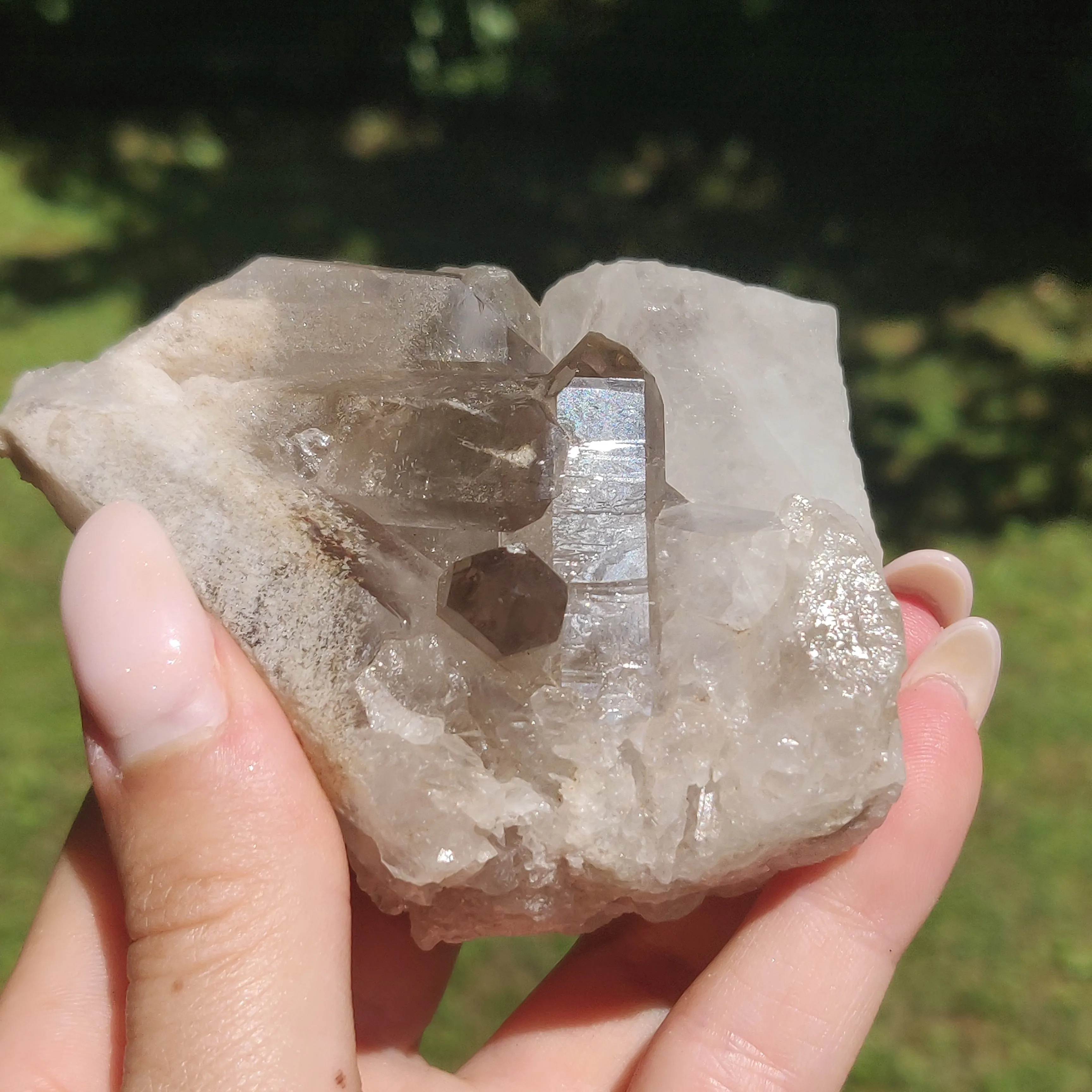 Smoky Quartz Cluster (#4)