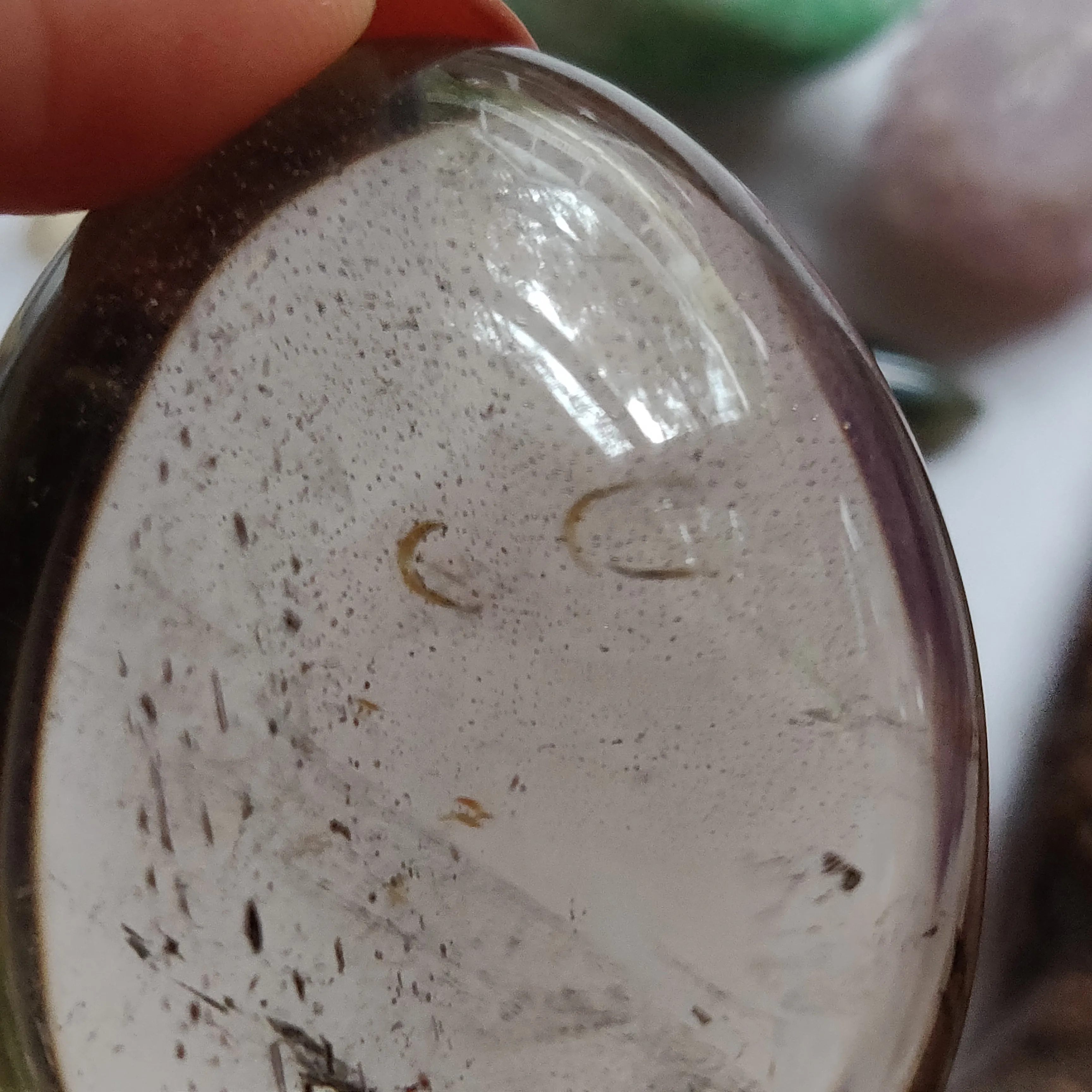 Smoky Quartz Palm Stone (#2)