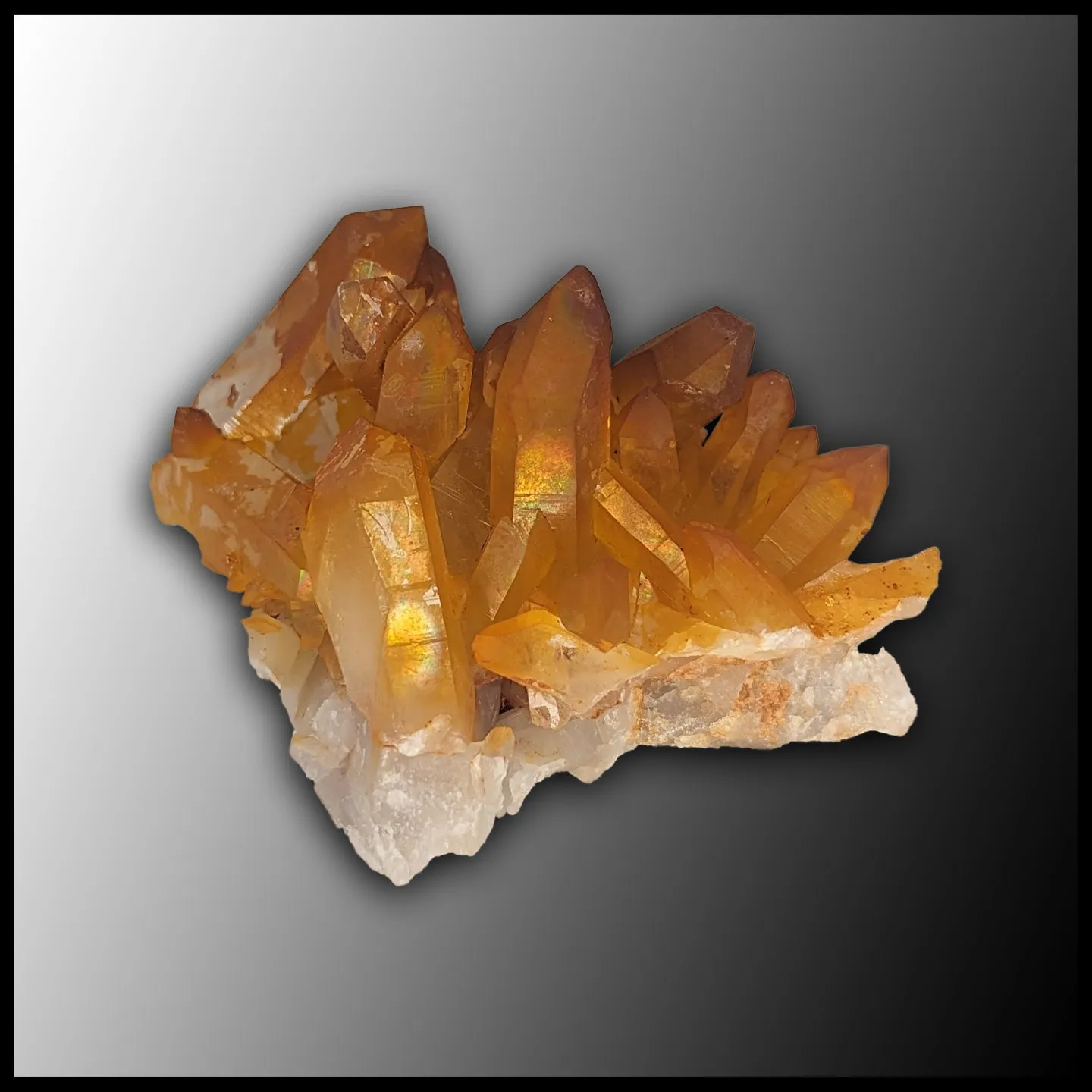 Solaris Quartz Cluster