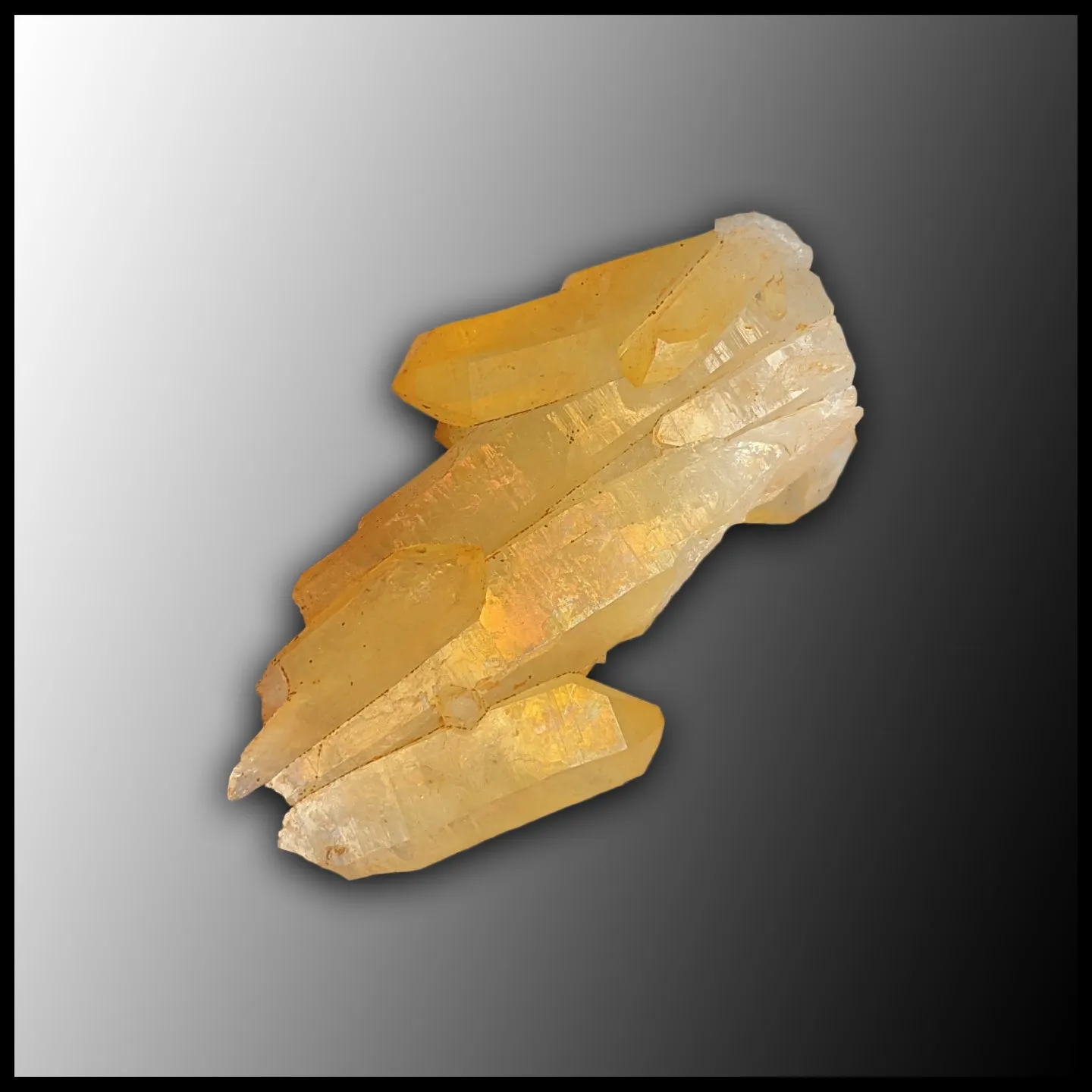 Solaris Quartz Cluster