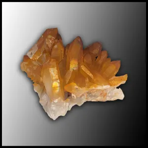 Solaris Quartz Cluster